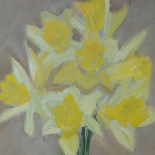 Daffodils for Friendship